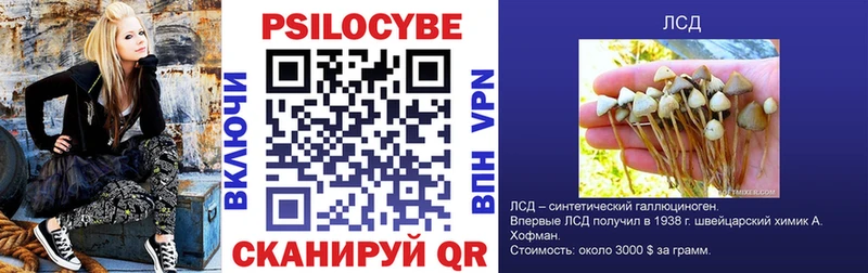 наркота Олонец Псилоцибиновые грибы Magic Shrooms